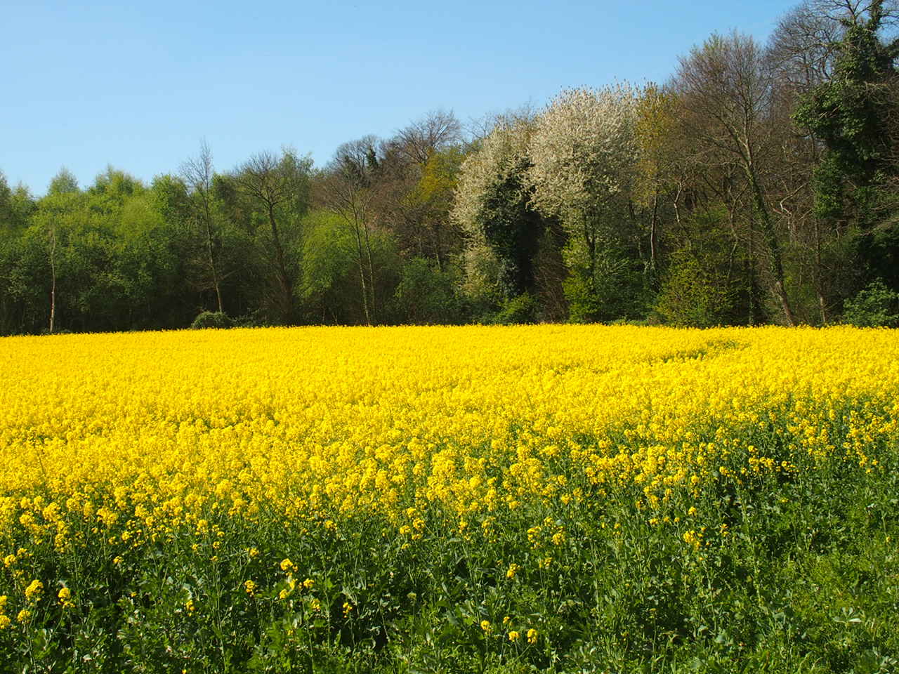 Aucune photo pour cette étape.